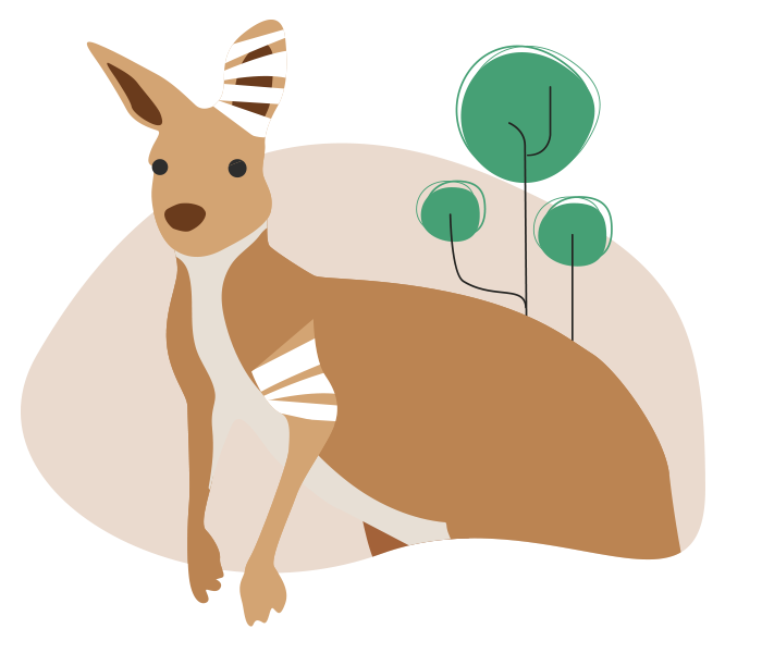 cose da imparare anno all'estero