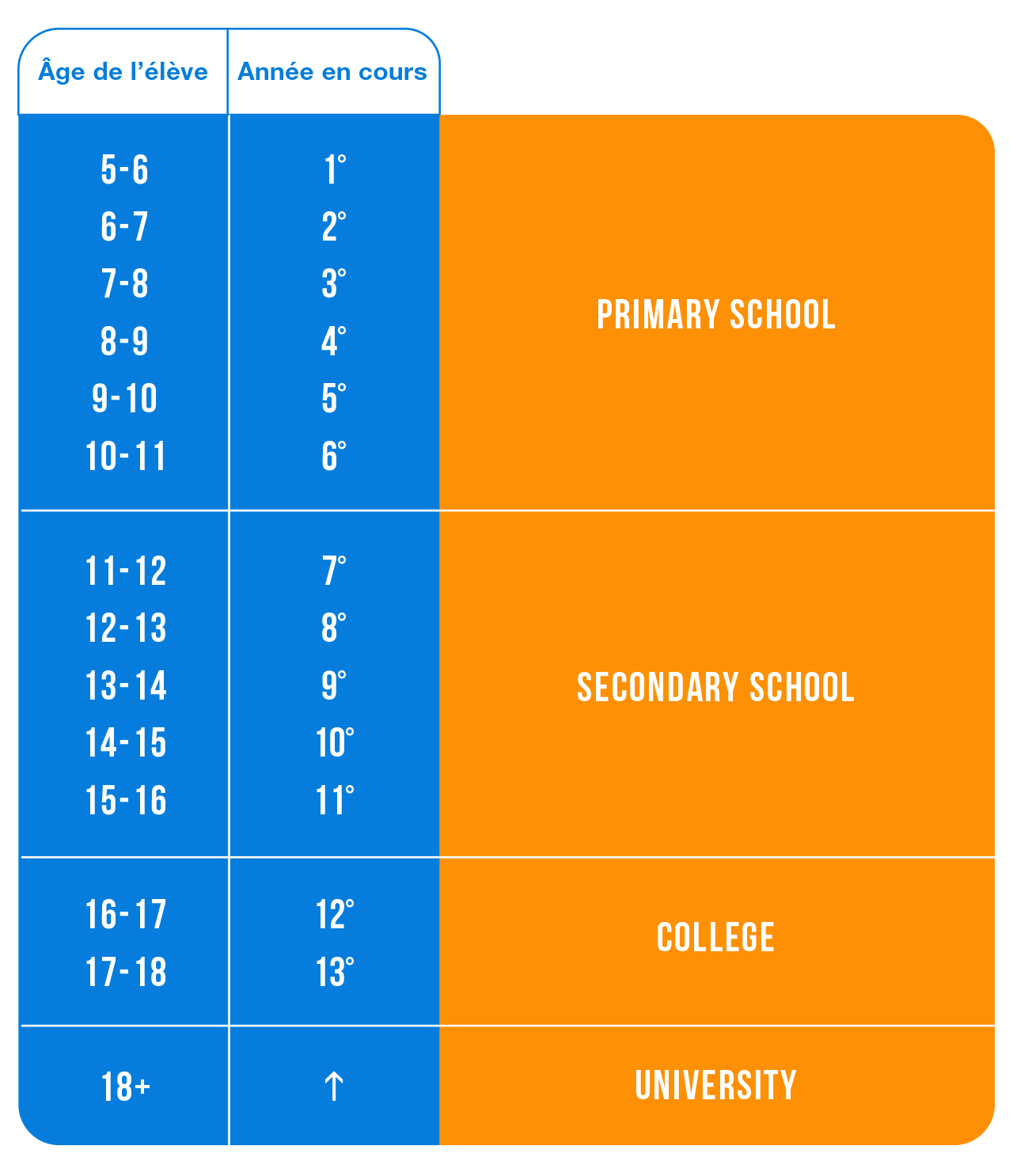 Infographie du système scolaire anglais
