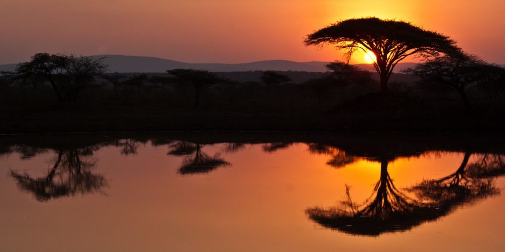 Paesaggio sudafricano al tramonto, alberi che si riflettono su uno specchio d'acqua arancione