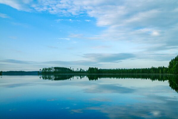 Cielo azzurro con pochi cirri bianchi che si specchia in un lago finlandese; all'orizzonte foresta di pini verde scuro
