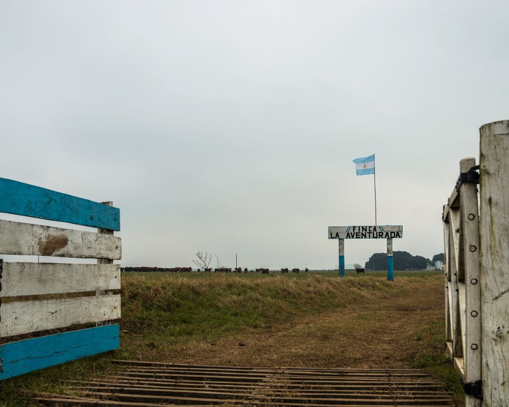 Strada di campagna in argentina con palizzata azzurra e bianca e bandiera dell'argentina in lontananza