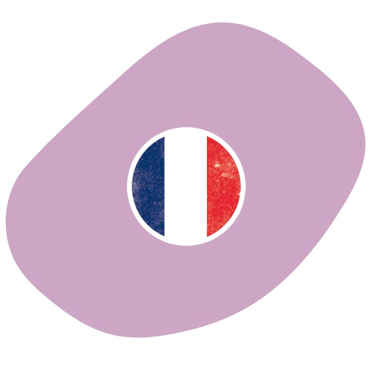 Grafica di una bandiera francese tagliata in un cerchio su sfondo malva