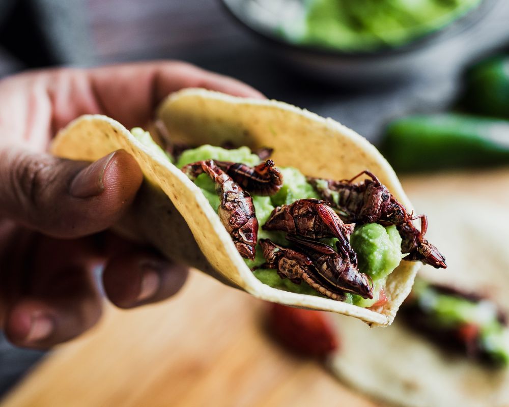 Cucina etnica: il corso per imparare a fare i tacos! - E' Cucina