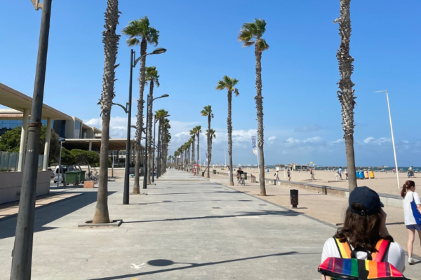 Lungomare con palme e sabbia a Valencia