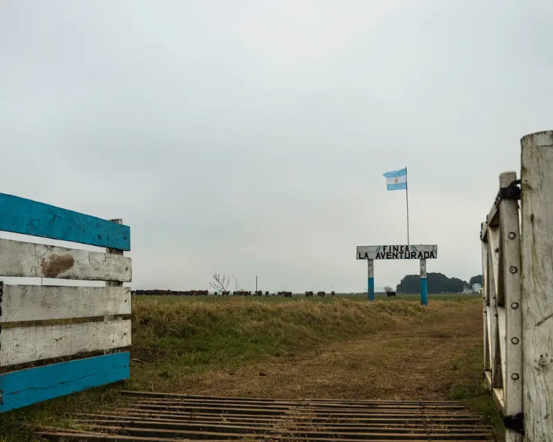 staccionata bianza e azzurra aperta su un prato con le mucche in lontananza e la scritta finca la aventurada con bandiera argentina