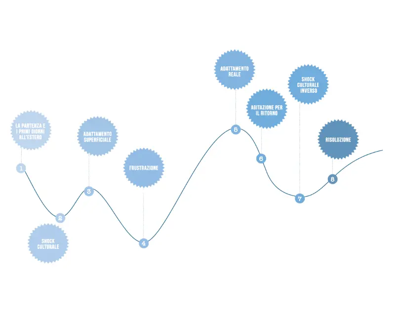 Culturale shock, schema delle fasi dell’adattamento durante un anno all'estero