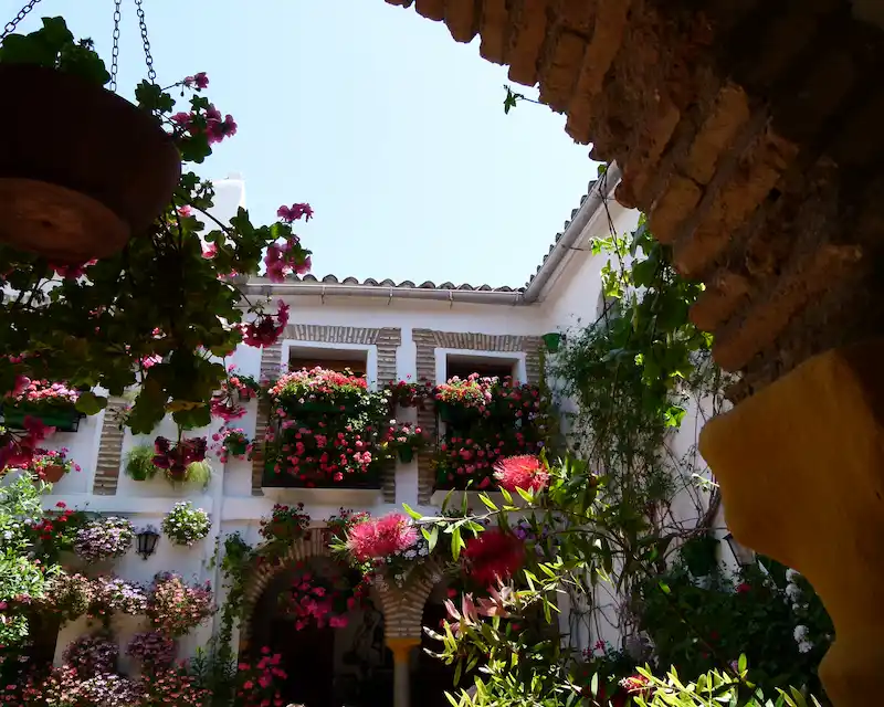 Cortile andaluso con migliaia di gerani durante il Festival de los Patios a Cordova, una delle principali feste spagnole