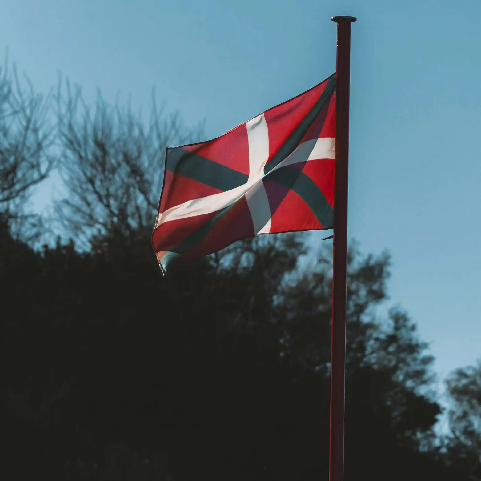 Bandiera basca nei Paesi Baschi, una delle regioni linguistiche della Spagna