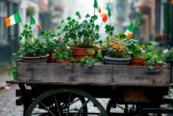 Vasi con bandiere irlandesi: la cultura irlandese è molto di più di trifogli, birra e pub.