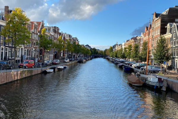 Panorama di un canale olandese circondato da case e viale alberato